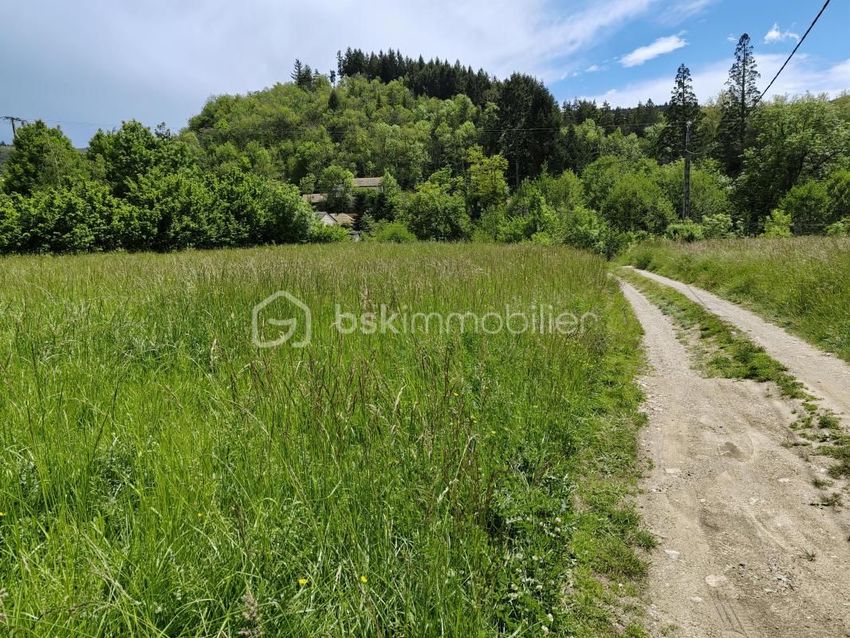 Image de terrain à Saint-Jean-du-Bruel