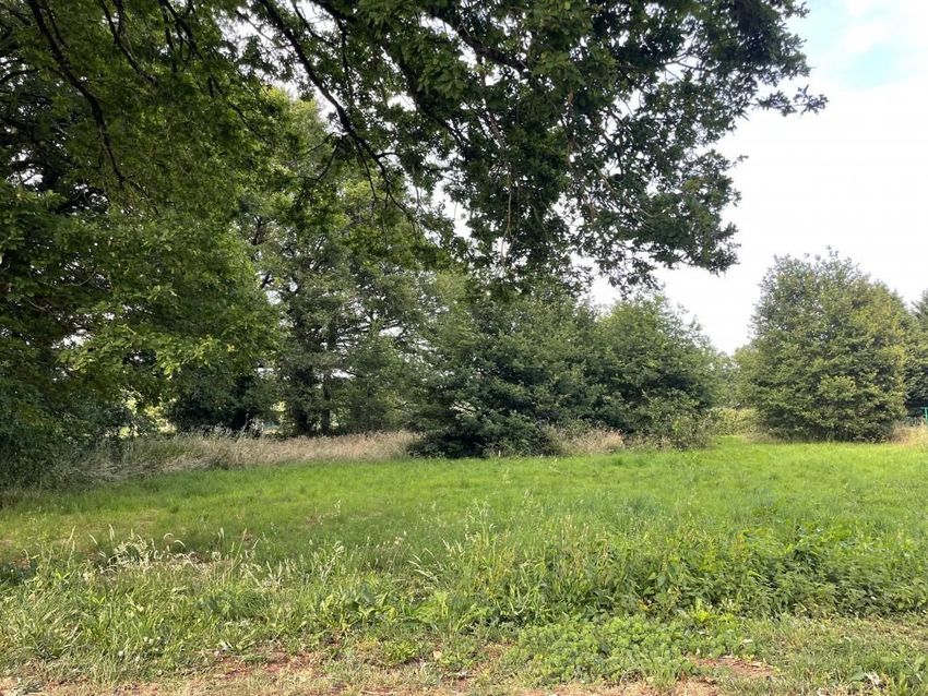 Image de terrain à Chaillac-sur-Vienne