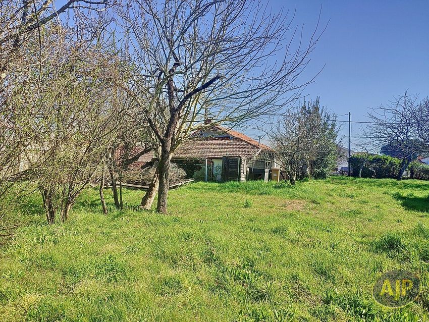 Image de terrain à Gujan-Mestras