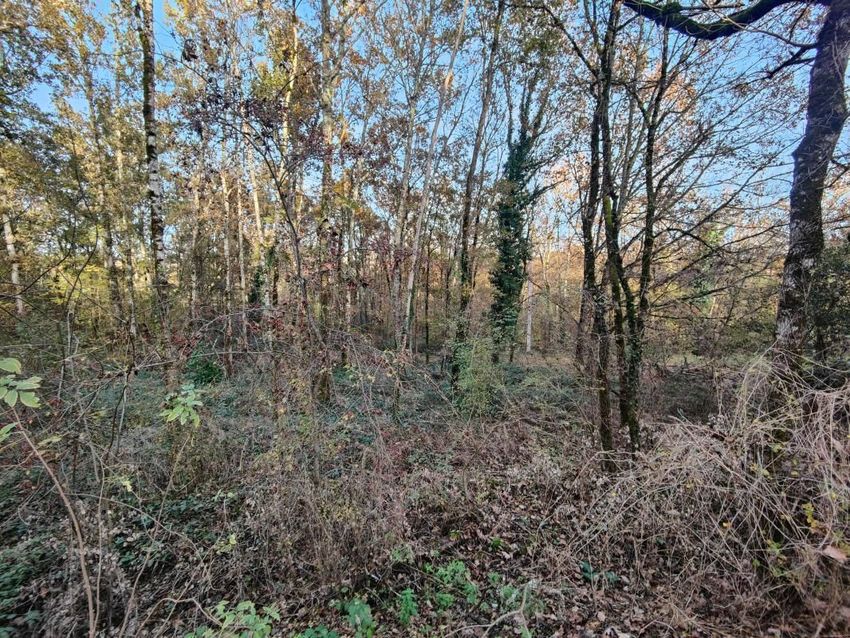 Image de terrain à Molières