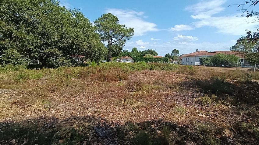 Image de terrain à Biscarrosse