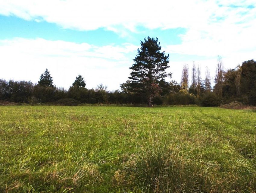 Image de terrain à Sainte-Colombe