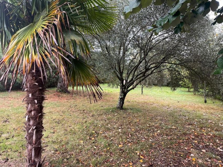Image de terrain à Balma