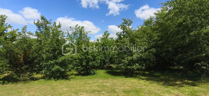 Image de terrain à Verlhac-Tescou