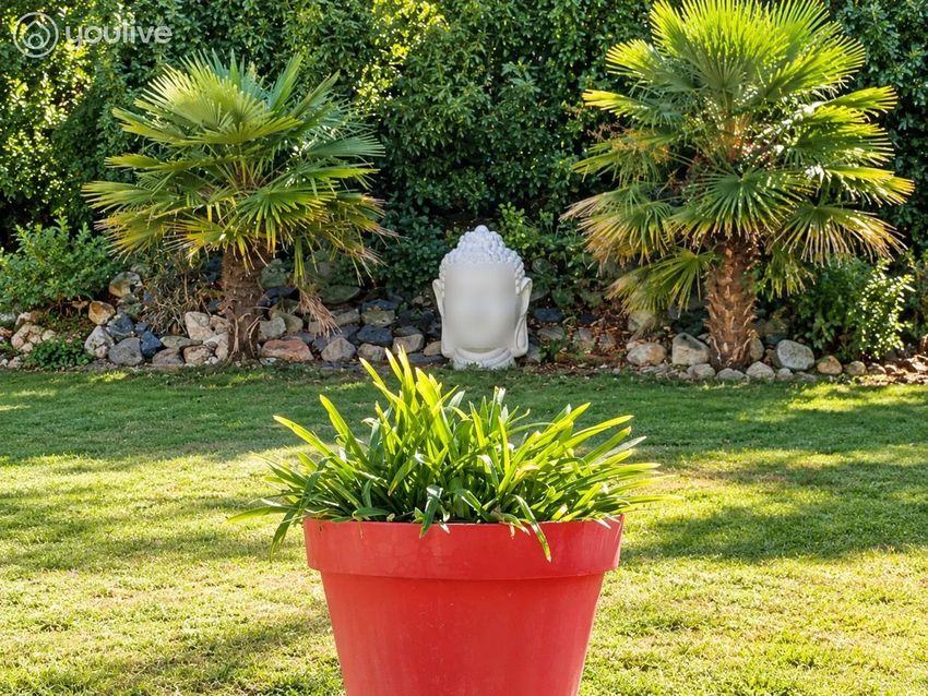 Image Jardin à  maison individuelle de Beaucouzé