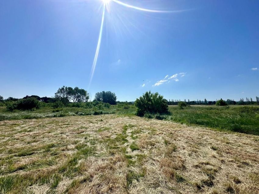 Image de terrain à Coursan