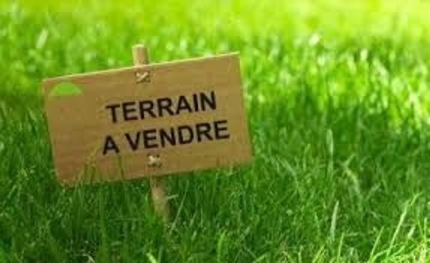 Image de terrain à Landivisiau