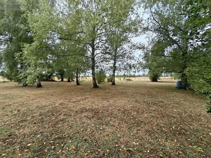 Image de terrain à Artannes-sur-Indre
