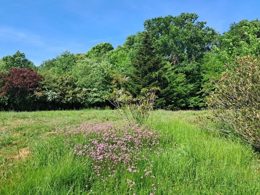Image de terrain à Vayres