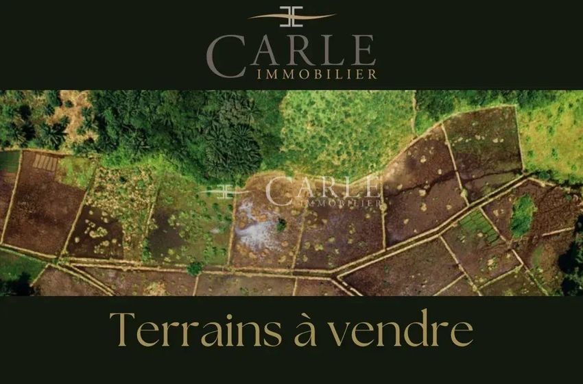 Image de terrain à Loyettes