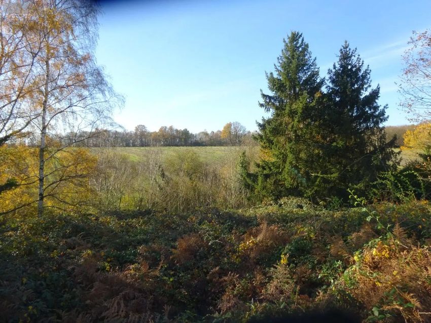 Image de terrain à Authon-du-Perche