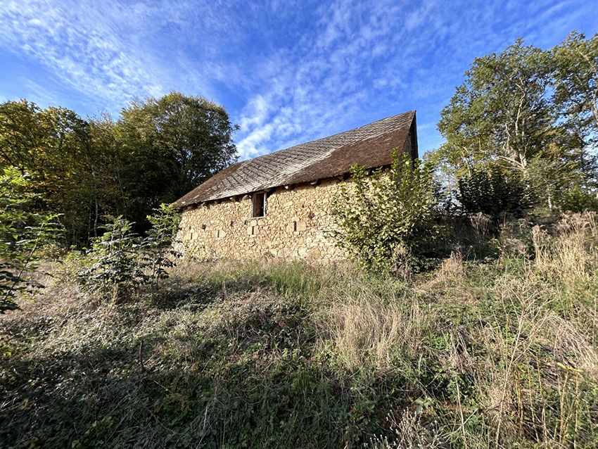 Image de terrain à Neuvic