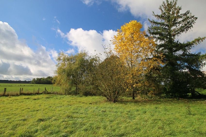 Image de terrain à La Chapelle-sur-Chézy
