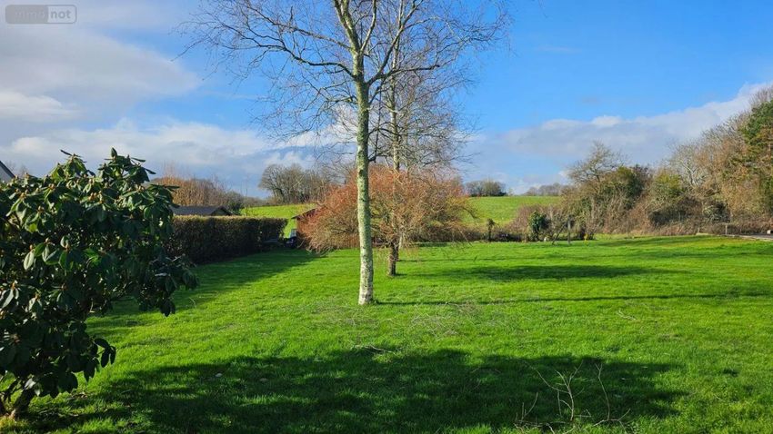 Image de terrain à Riec-sur-Bélon