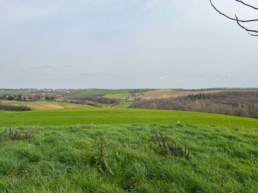 Image Vue à terrain de Léojac