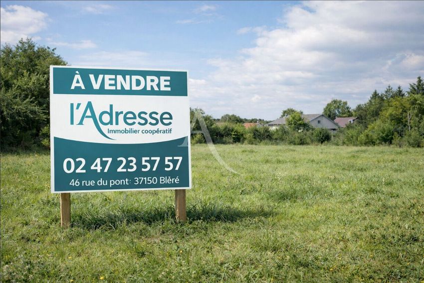 Image de terrain à La Croix-en-Touraine