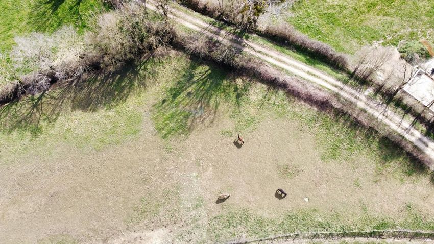 Image de terrain à Laissac-Sévérac l'Église