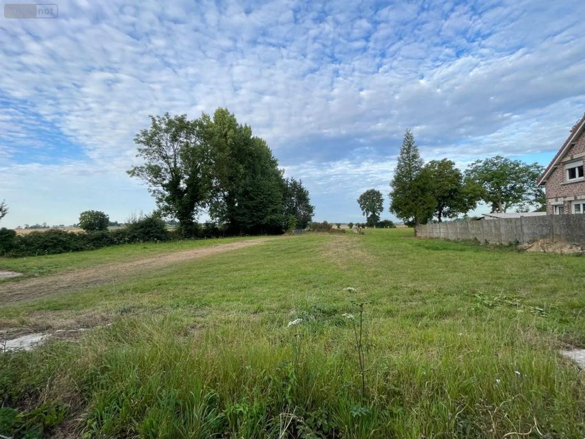 Image de terrain à Humerœuille