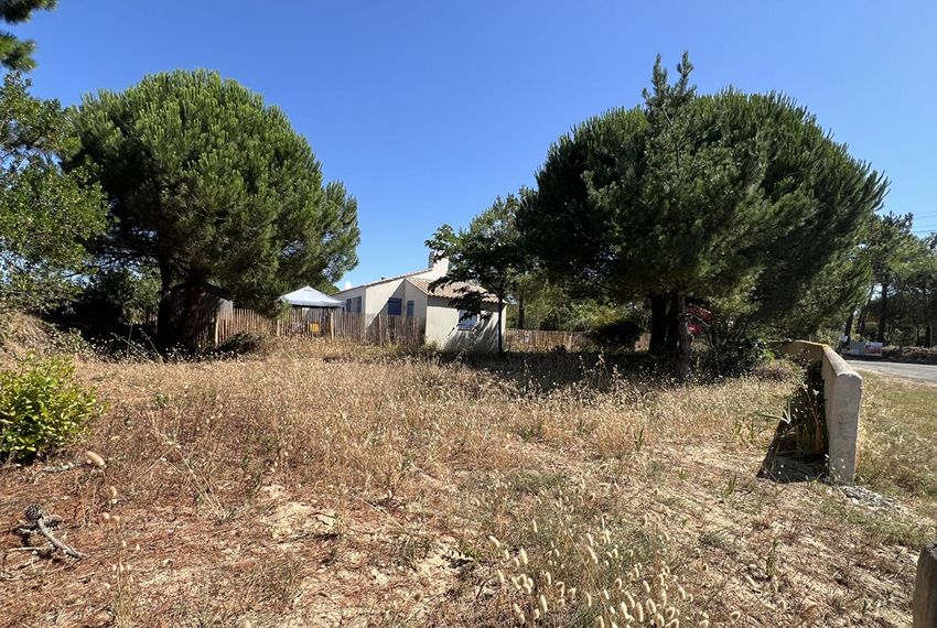Image de terrain à Saint-Hilaire-de-Riez