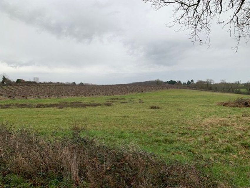 Image de terrain à Saint-Martin-du-Bois