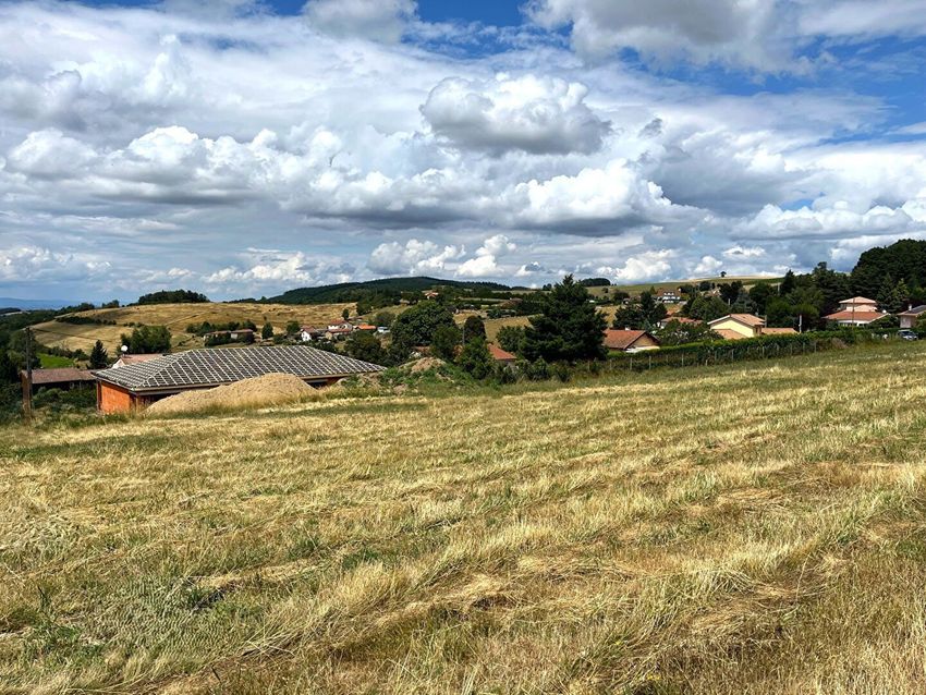 Image de terrain à Violay