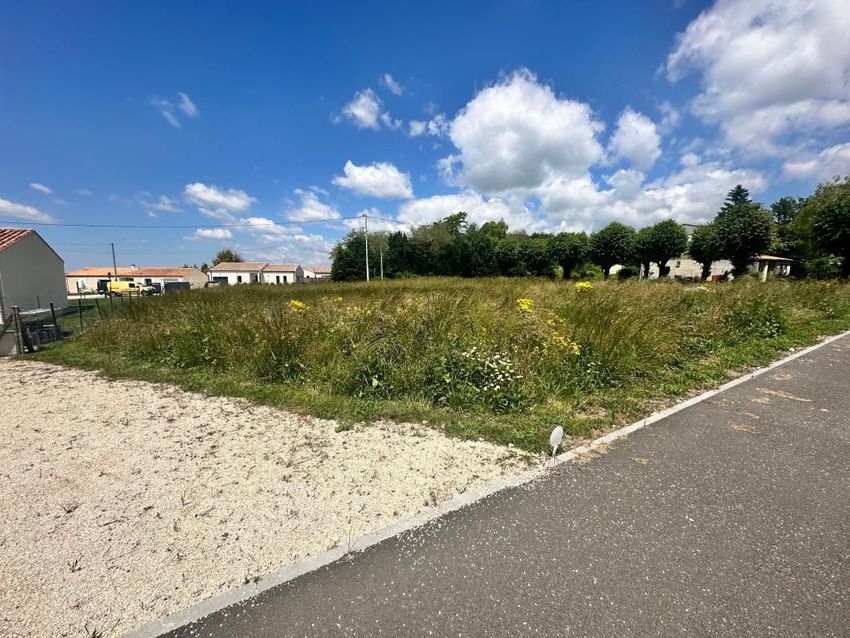 Image de terrain à Thénac