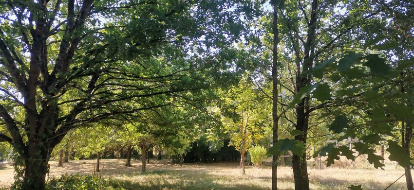 Image de terrain à Nègrepelisse