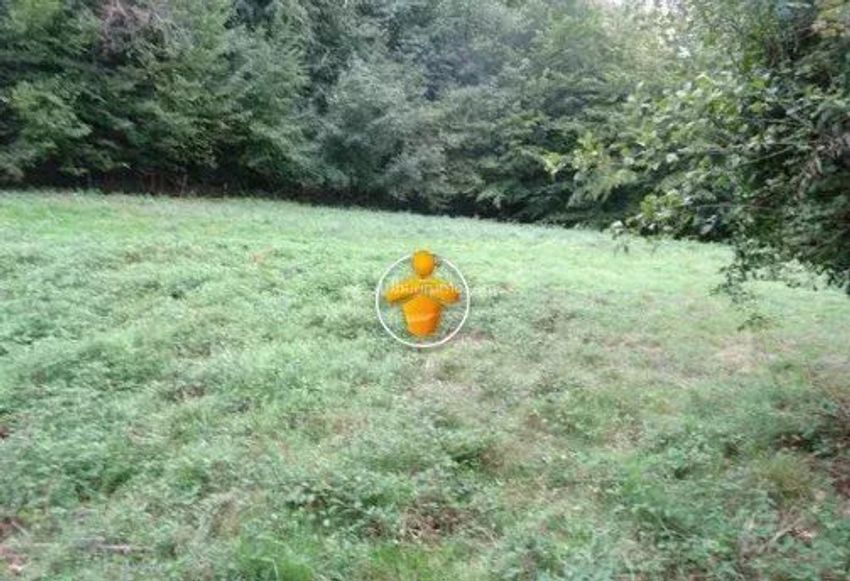 Image de terrain à Châtonnay