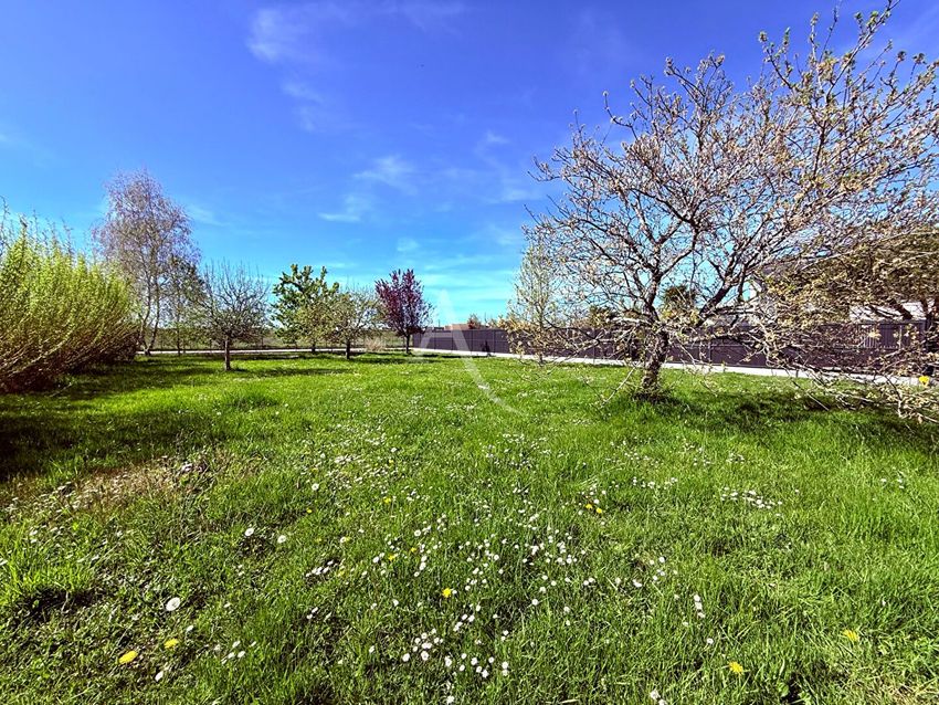 Image de terrain à Saint-Denis-en-Val