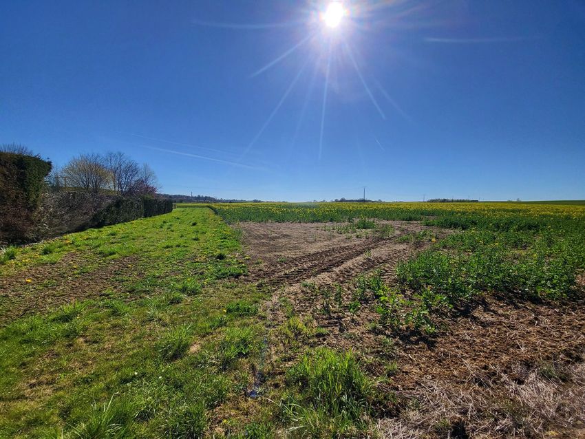 Image de terrain à Pierrepont