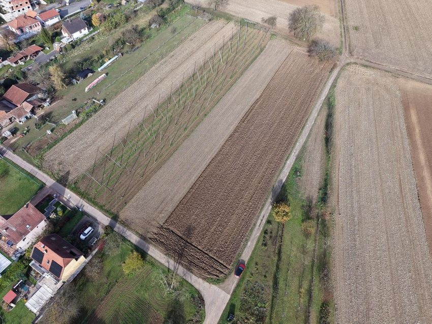 Image de terrain à Eckwersheim