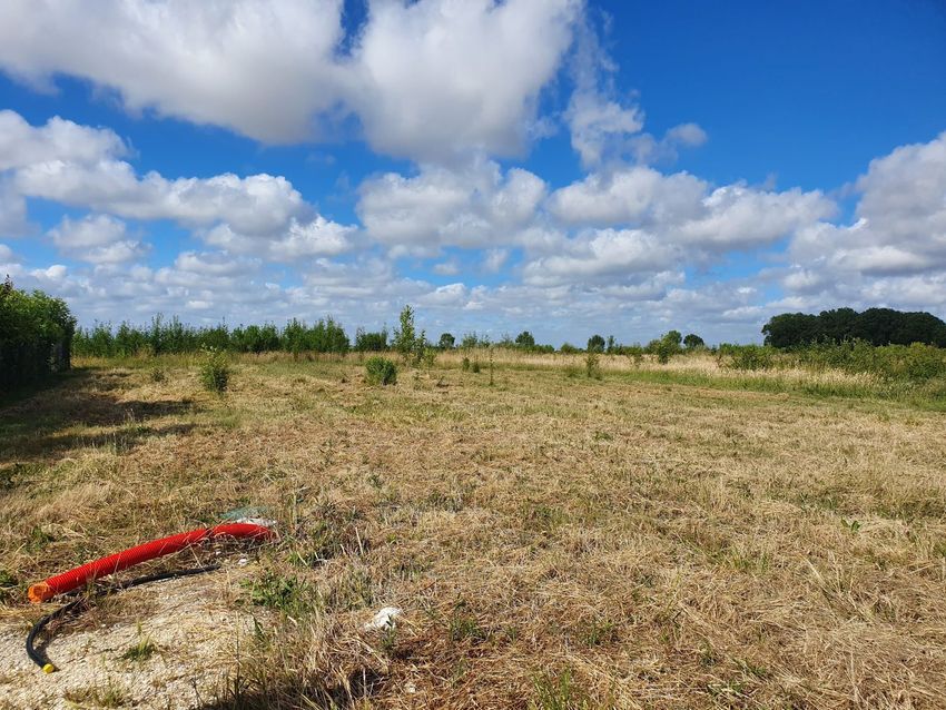 Image de terrain à Saint-Georges-de-Didonne