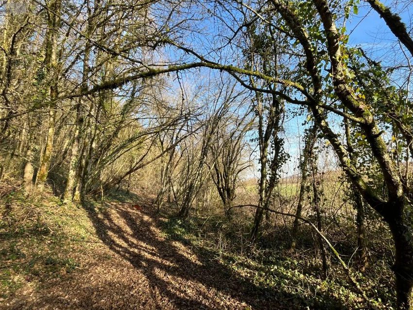 Image de terrain à Villemorien