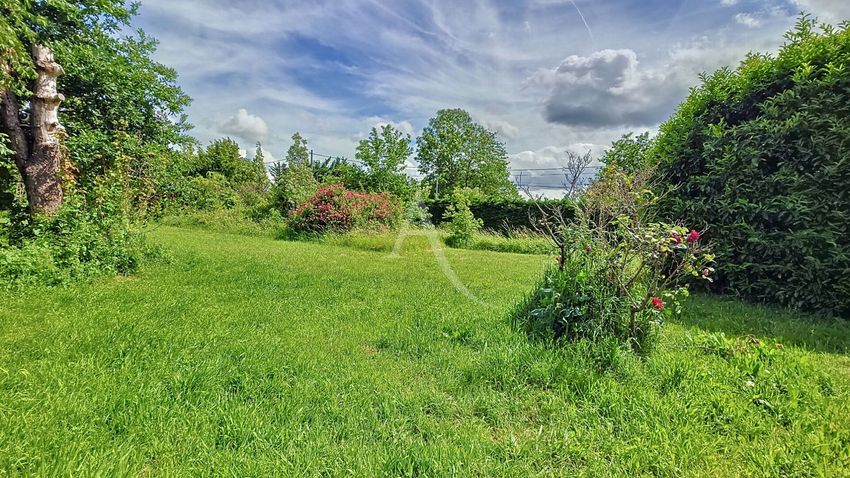 Image Jardin à  maison individuelle de Saulx-les-Chartreux
