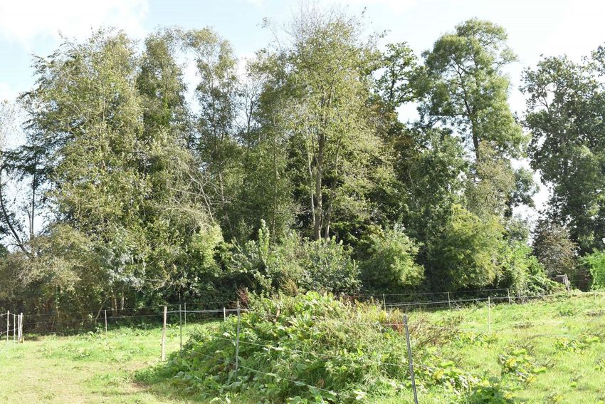 Image de terrain à 5 Rue André Raimbourg