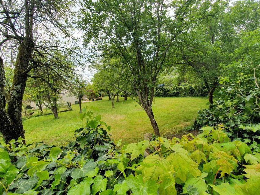 Image de terrain à Moret-Loing-et-Orvanne