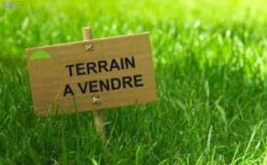 Image de terrain à Ruisseauville