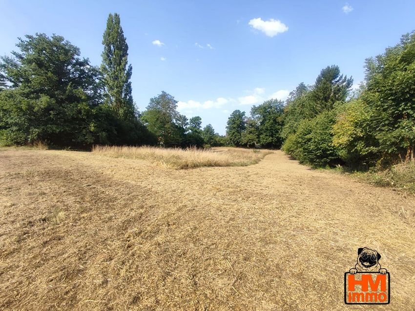 Image de terrain à Le Vigen