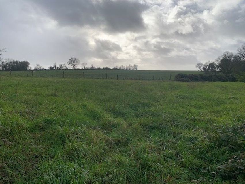 Image de terrain à Saint-Martin-Lars-en-Sainte-Hermine