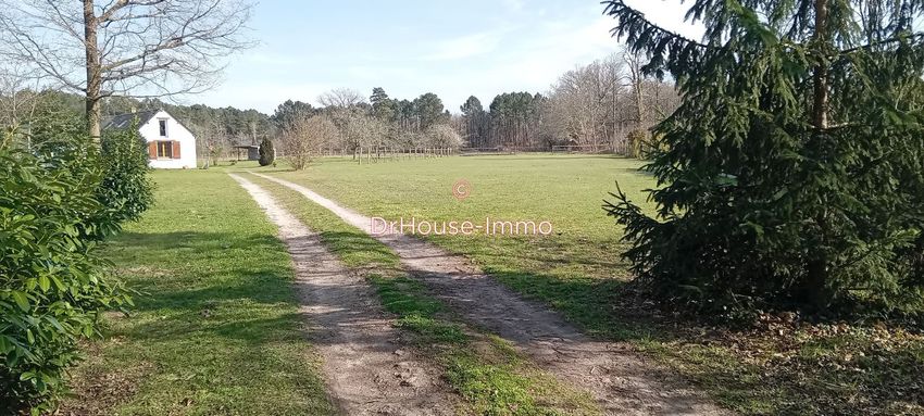 Image Jardin à  villa de Langeais