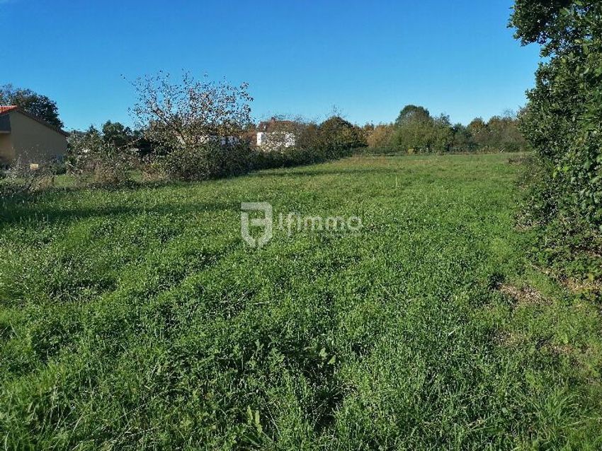 Image de terrain à Sarriac-Bigorre