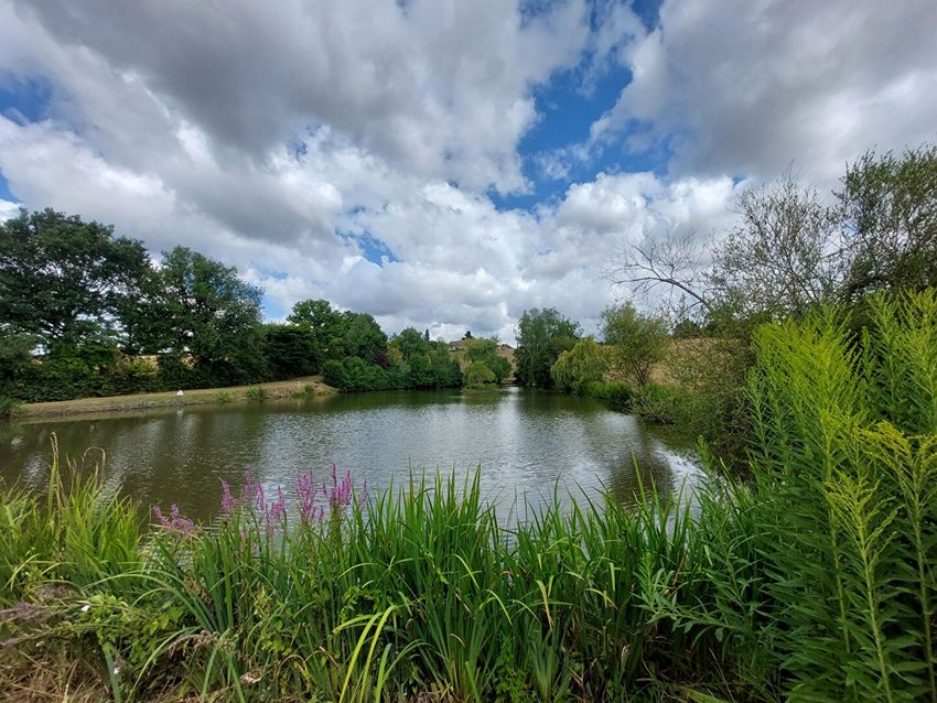 Image Jardin à  ferme de Grury
