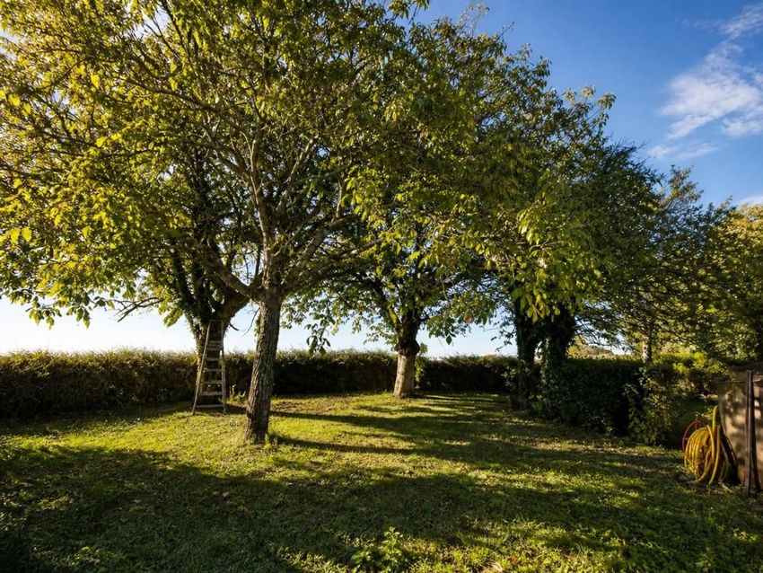 Image Jardin à  maison individuelle de Prin-Deyrançon