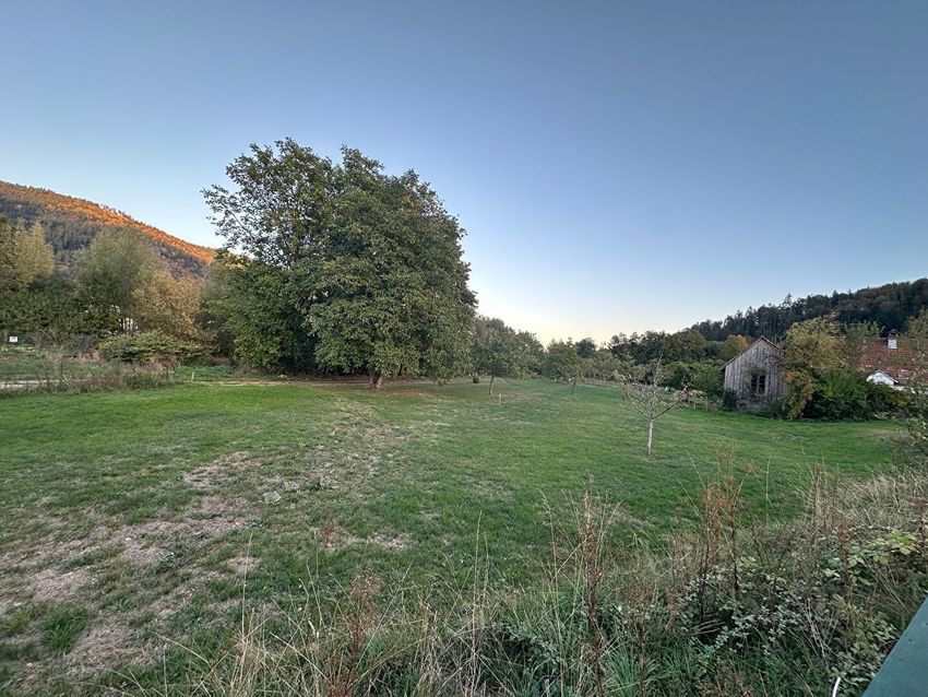 Image de terrain à Fellering