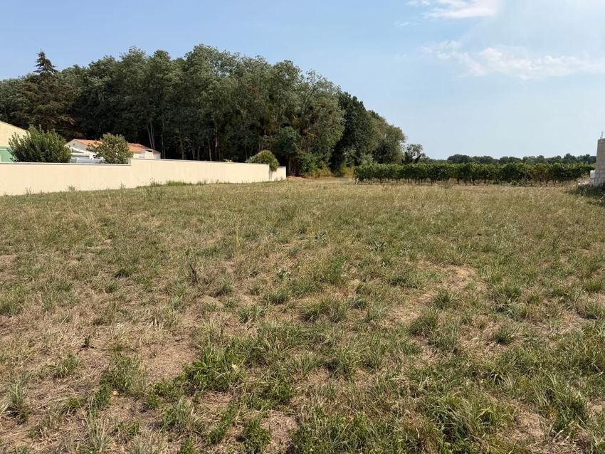 Image de terrain à Épargnes