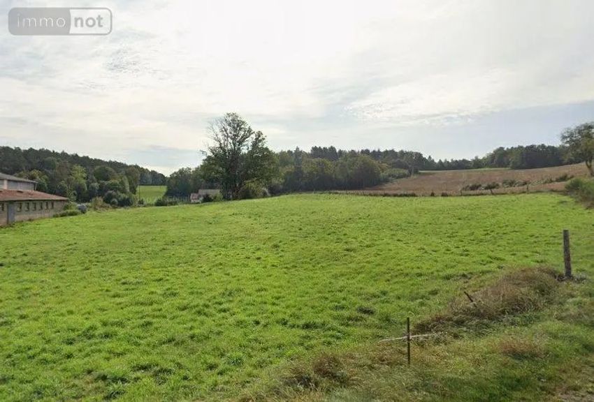 Image de terrain à Pouxeux