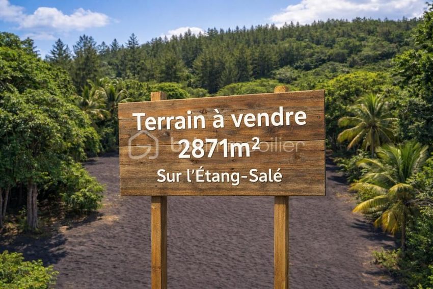 Image de terrain à L'Étang-Salé