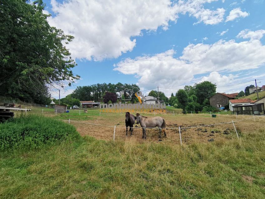 Image de terrain à Arpajon-sur-Cère
