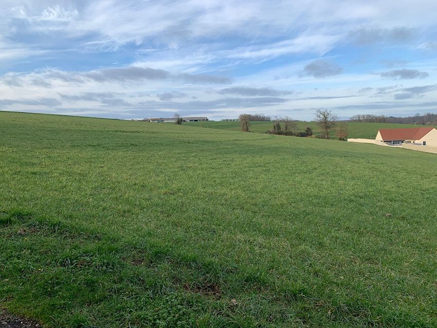 Image de terrain à Busloup