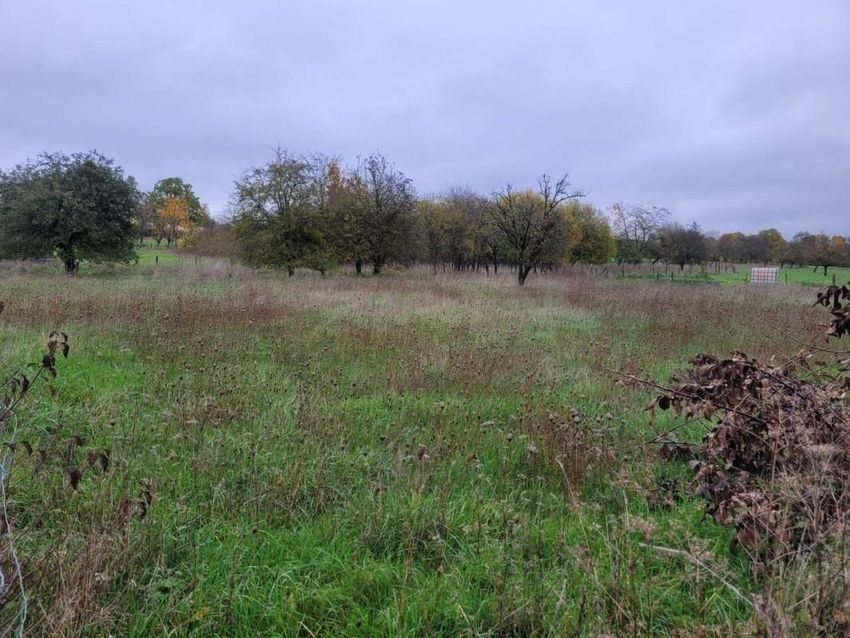 Image de terrain à Rupt-aux-Nonains